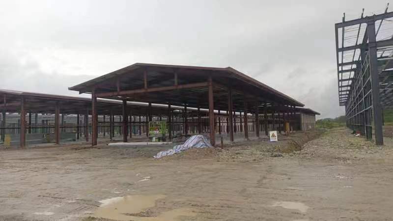 Factory Shouning County Edible Fungi Whole Industry Chain Development Project